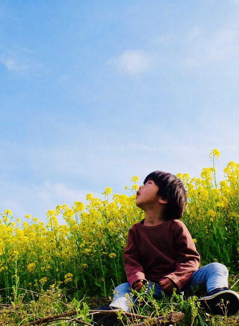 療育,わくわくGATE,